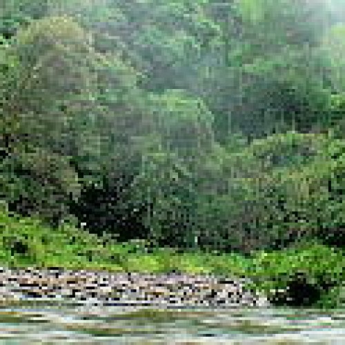 Sarawak: Batang Ai National Park