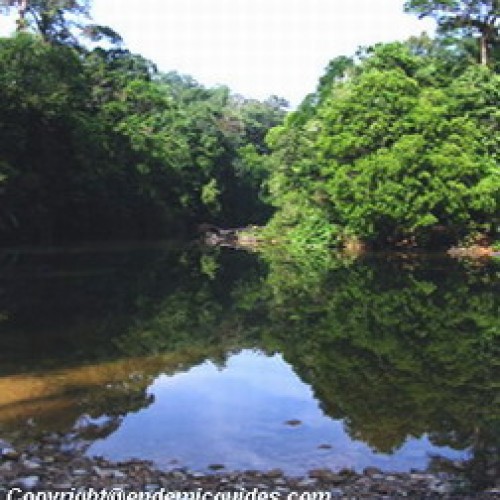 Endau Rompin National Park, Johor