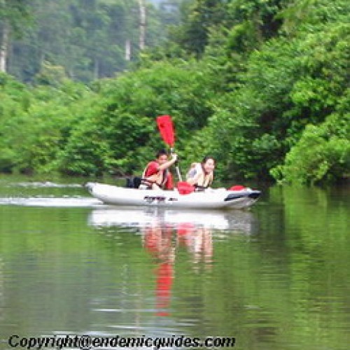 Endau Rompin National Park, Johor