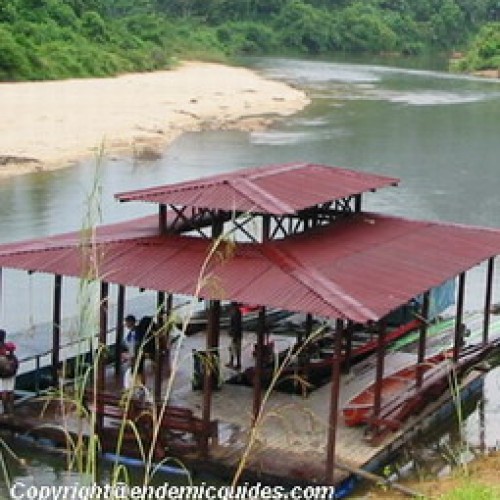 Endau Rompin National Park, Johor