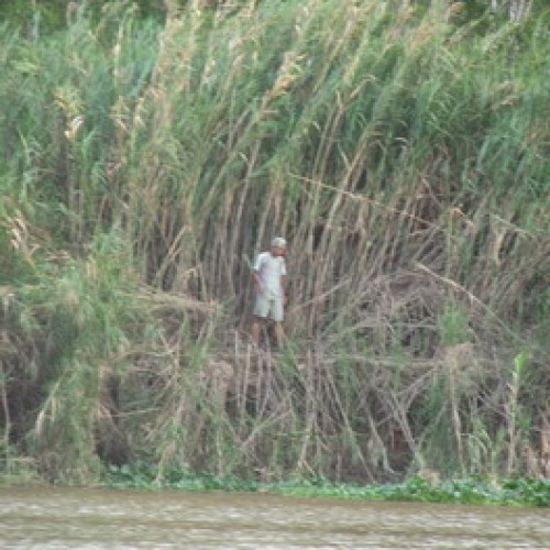 Kinabatangan Floodplain – Sukau, Sabah