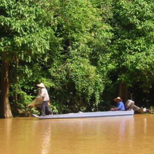 Kinabatangan Floodplain – Sukau, Sabah