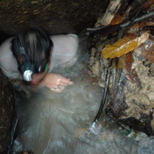 Gua Batu Maloi Cave, Negeri Sembilan