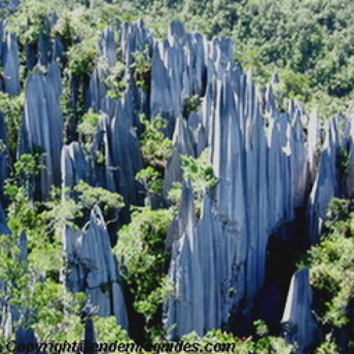 Gunung Mulu National Park, Sarawak