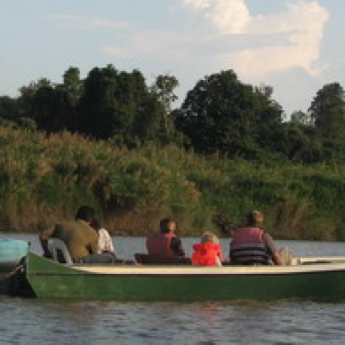 Kinabatangan Floodplain – Sukau, Sabah