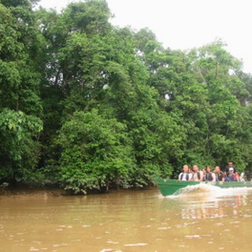 Kinabatangan Floodplain – Sukau, Sabah