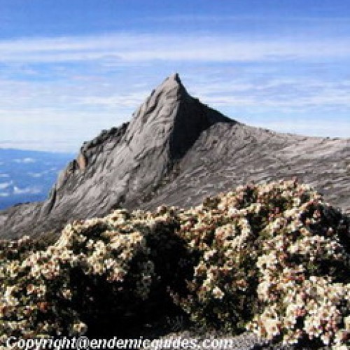 Mount Kinabalu National Park, Sabah