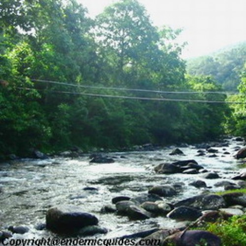 Crocker Range National Park, Sabah