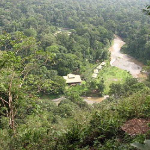 Danum Valley Conservation Area, Sabah