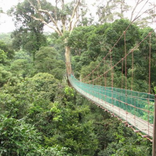 Danum Valley Conservation Area, Sabah