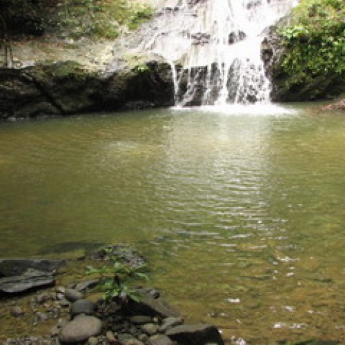 Danum Valley Conservation Area, Sabah