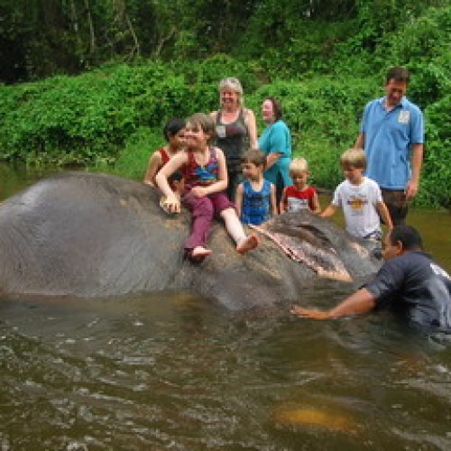 Kuala Gandah Elephant Sanctuary, Pahang