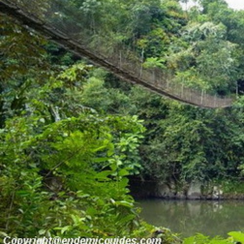 Maliau Basin Forest Reserve, Sabah