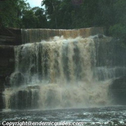 Maliau Basin Forest Reserve, Sabah