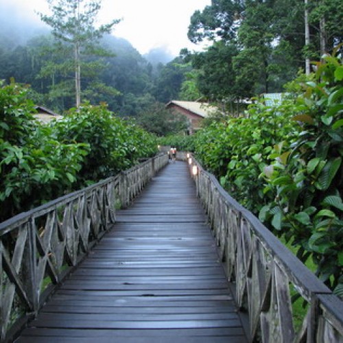 Danum Valley Conservation Area, Sabah