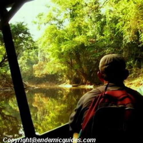 Kenong Rimba National Park, Pahang