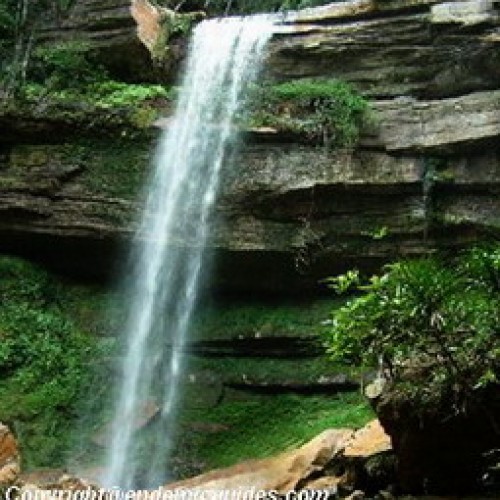 Maliau Basin Forest Reserve, Sabah