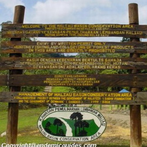 Maliau Basin Forest Reserve, Sabah