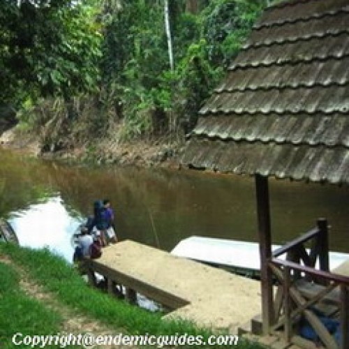 Kenong Rimba National Park, Pahang