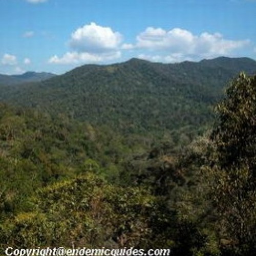 Taman Negara, Pahang