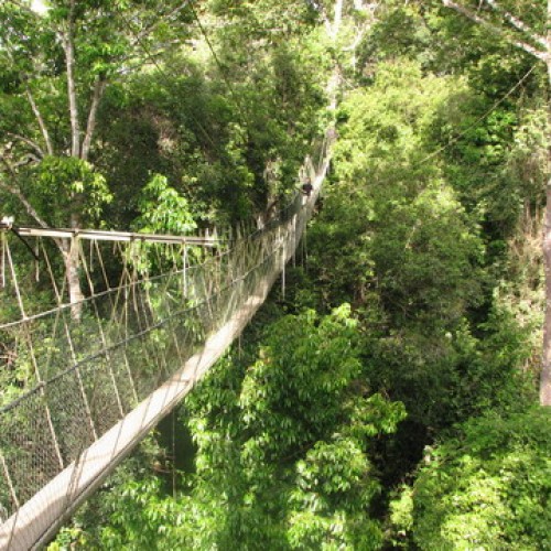 Taman Negara, Pahang