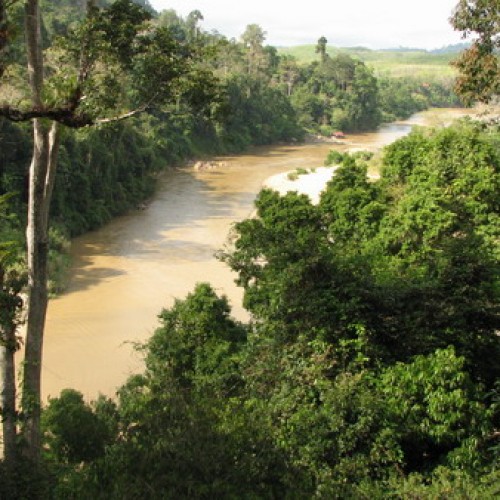 Taman Negara, Pahang