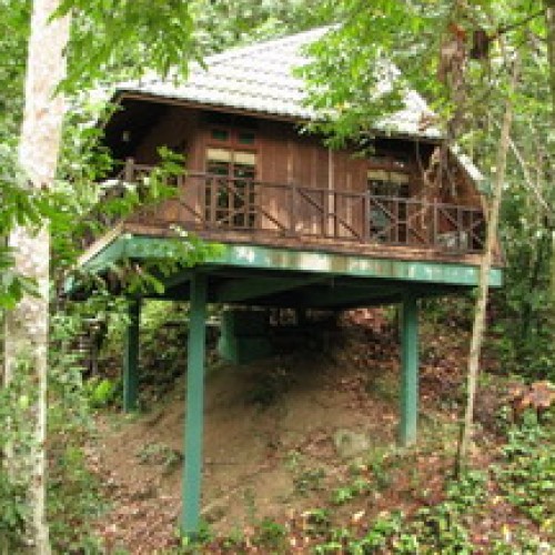 Tabin Wildlife Reserve, Sabah