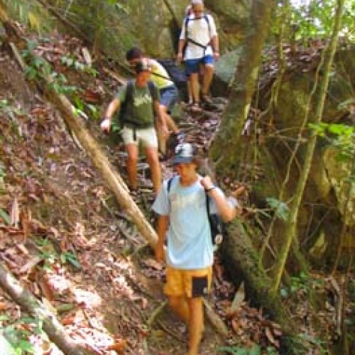 Taman Negara, Pahang