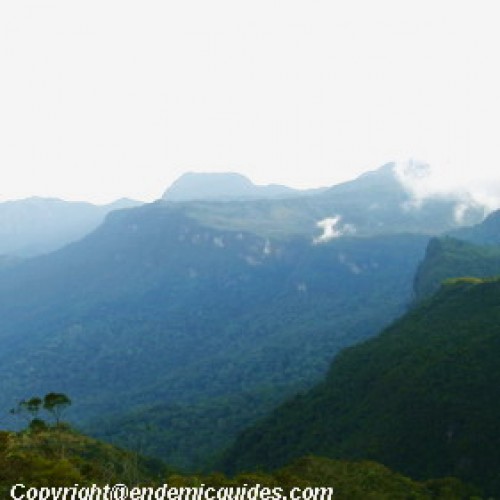 Taman Negara, Pahang