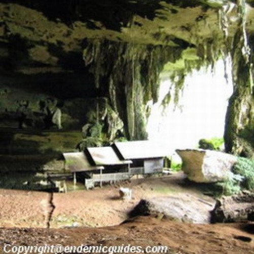 Gua Niah National Park, Sarawak