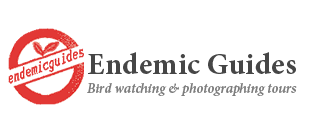 EndemicGuides