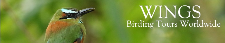 Wings Birding Tours