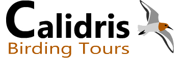 cropped-calidris-birding-tours-final-logo-1
